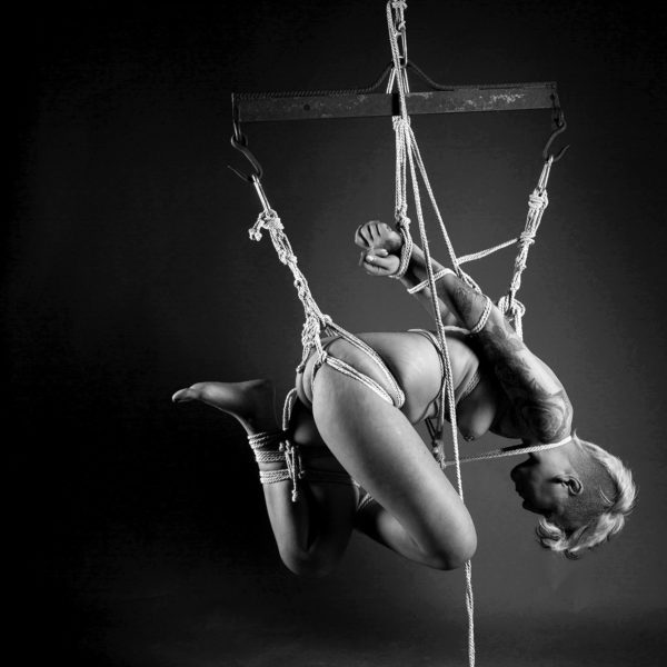 Dafne-2486 web