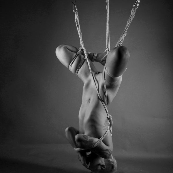 Dafne-2585 web