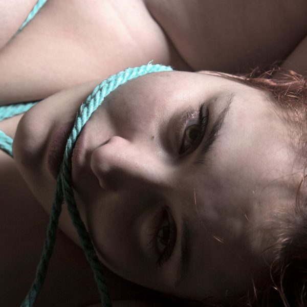 Madia-2706 web