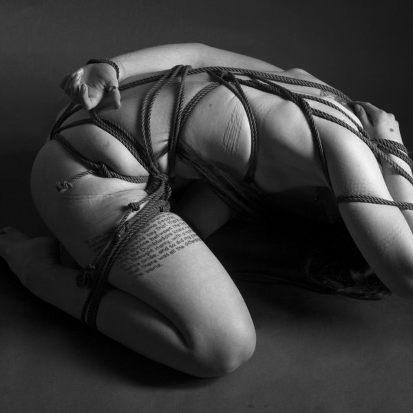 SaraFac-2940 web