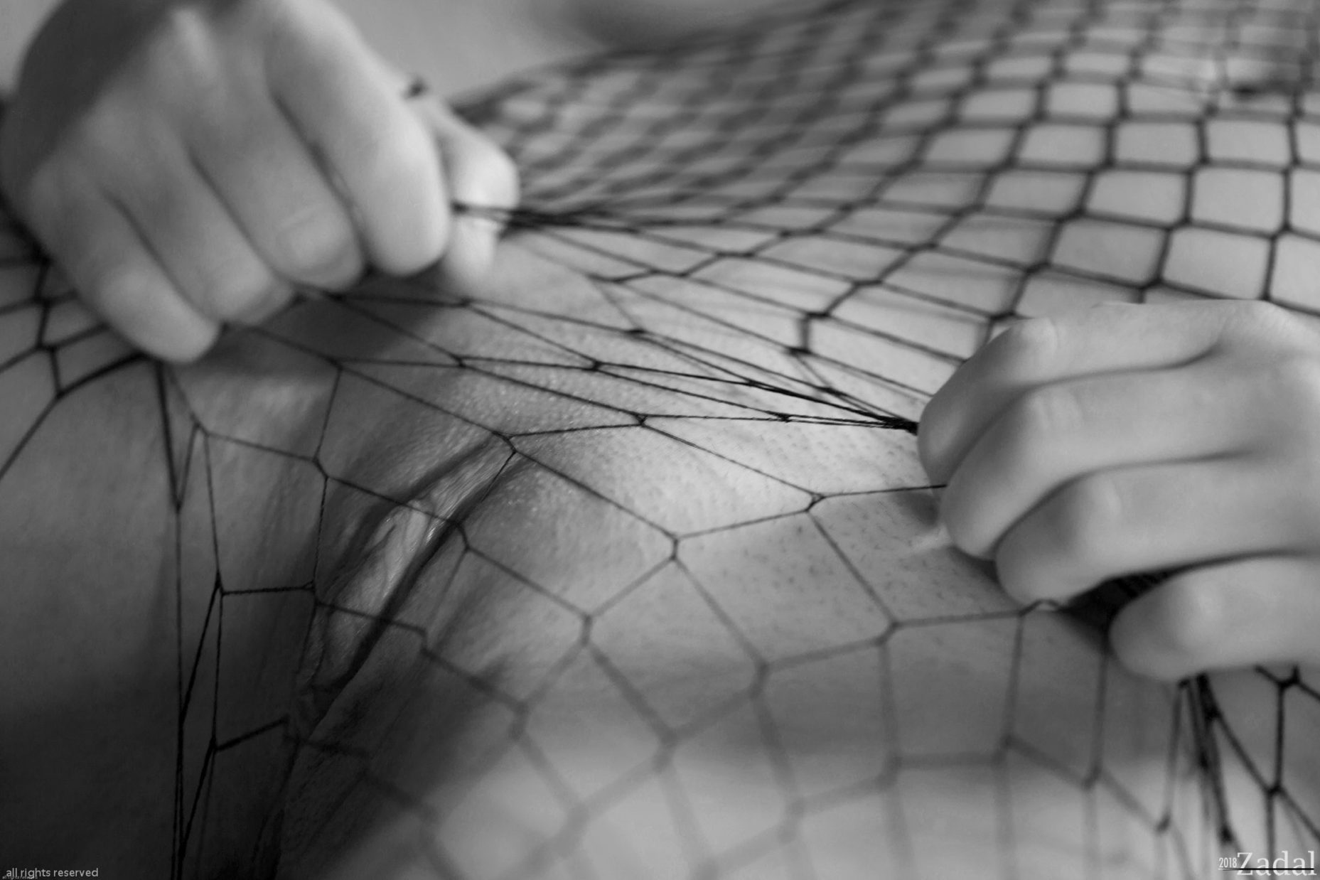 Sif-8464 web