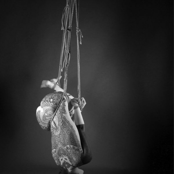 SilWngè-4324 web