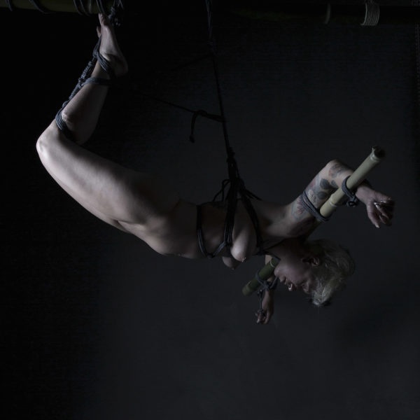 Dafne-9678 web