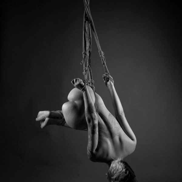 Dafne-1330 web