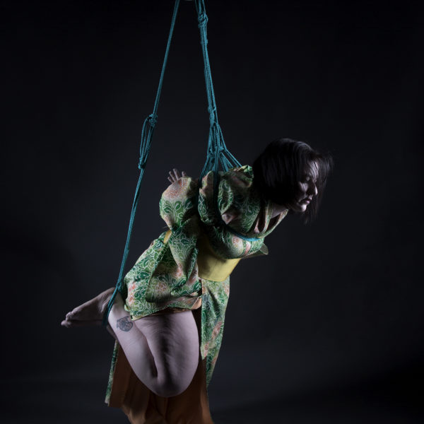 Viola-1836 web
