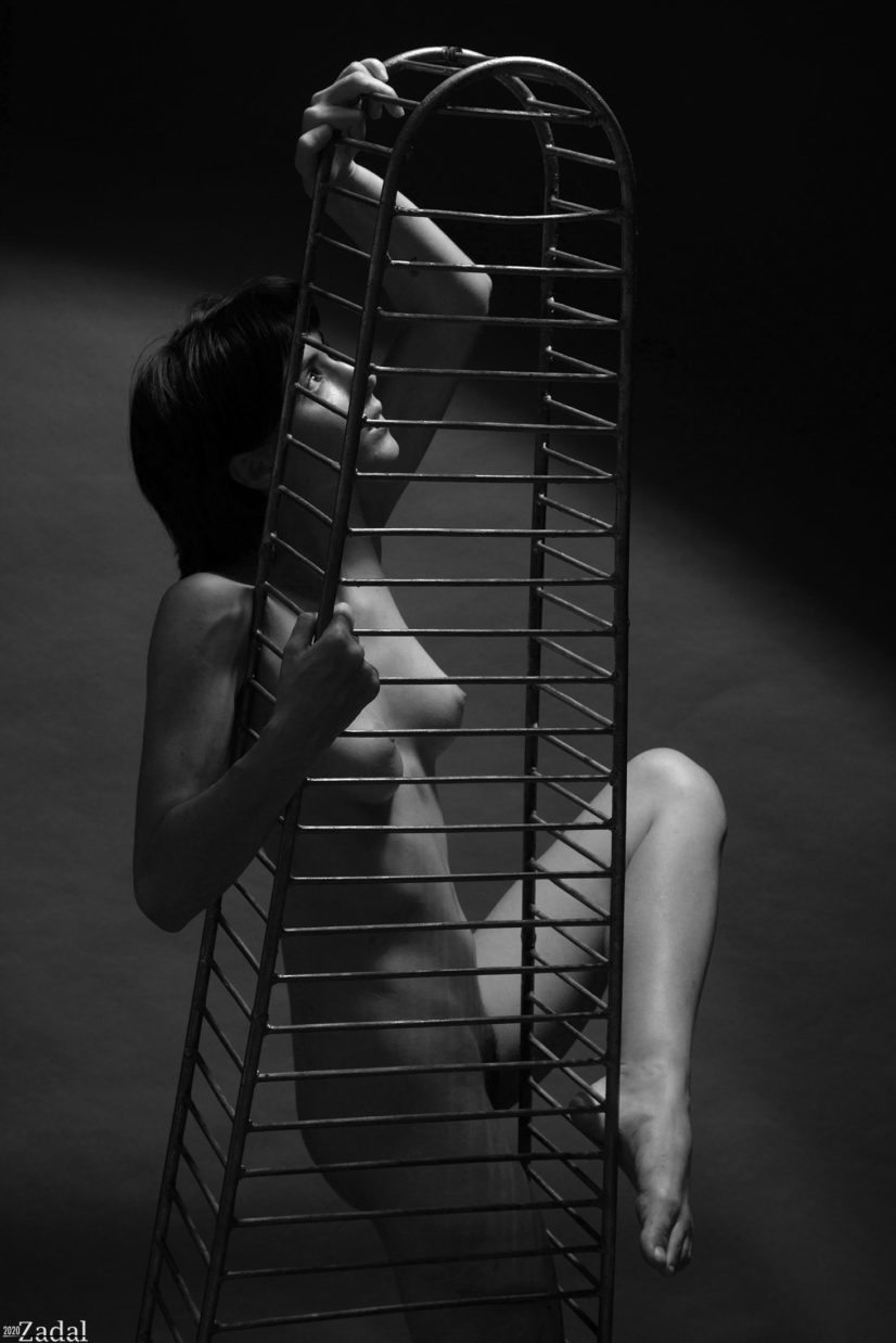 BCudie-3625 web