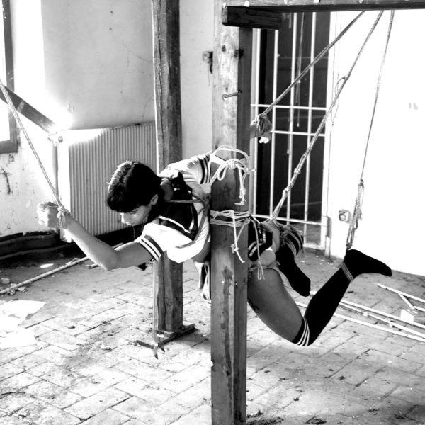 CleoDa-3912 web