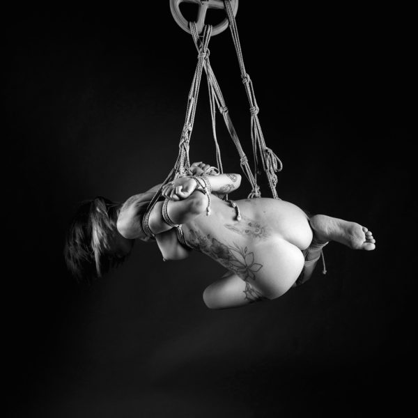 WilSbrIol-4065 web