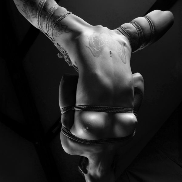 Apathia-3126 web