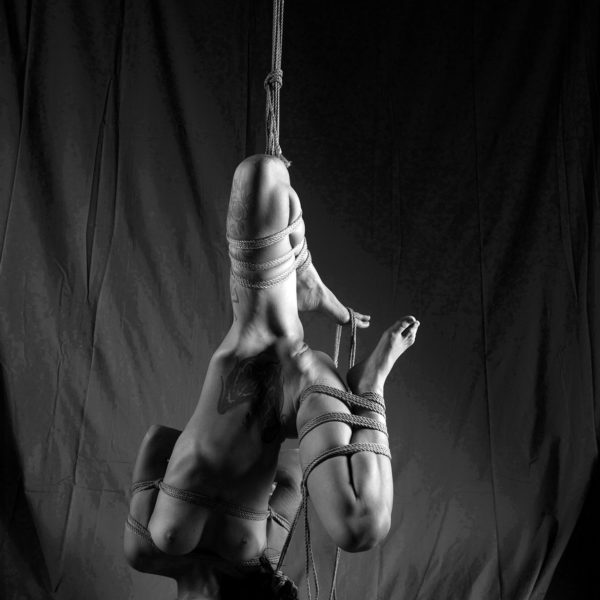 Apathia-3138 web