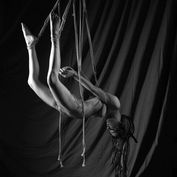 PrinVal-4937 web