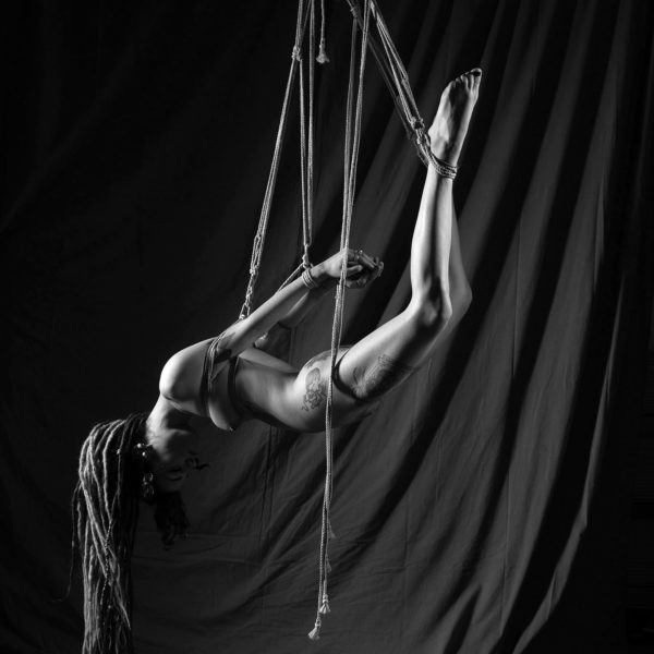 PrinVal-4939 web