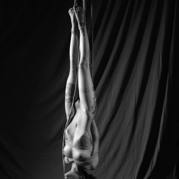PrinVal-4965 web