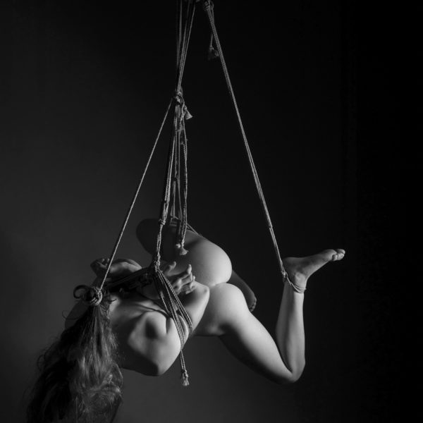 Leda-2142 web